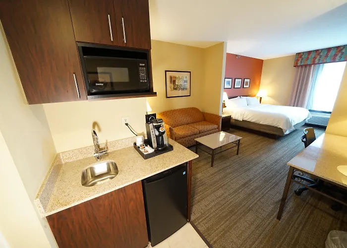 Holiday Inn Express Hotel & Suites Tampa-Oldsmar By Ihg